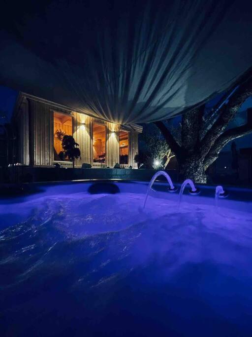 Chalet Vitaspa - Whirlpool & Sauna Privatspa 佩格尼茨 外观 照片